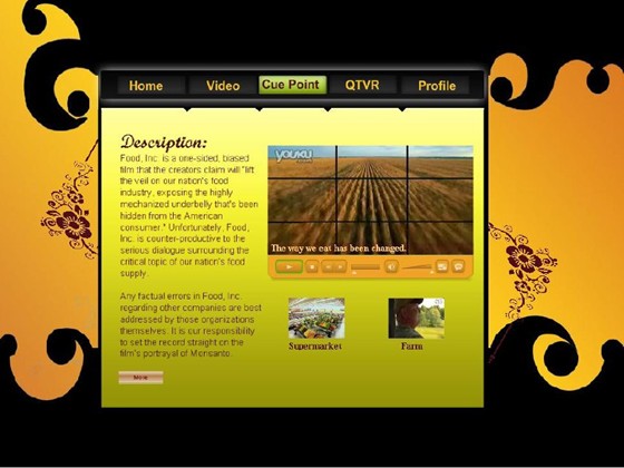 Web Design: Flash website