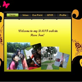 Web Design: Flash website